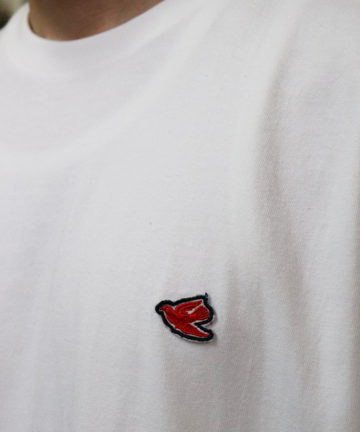 PIGEON TRAVEL T-SHIRTS【PARIS】