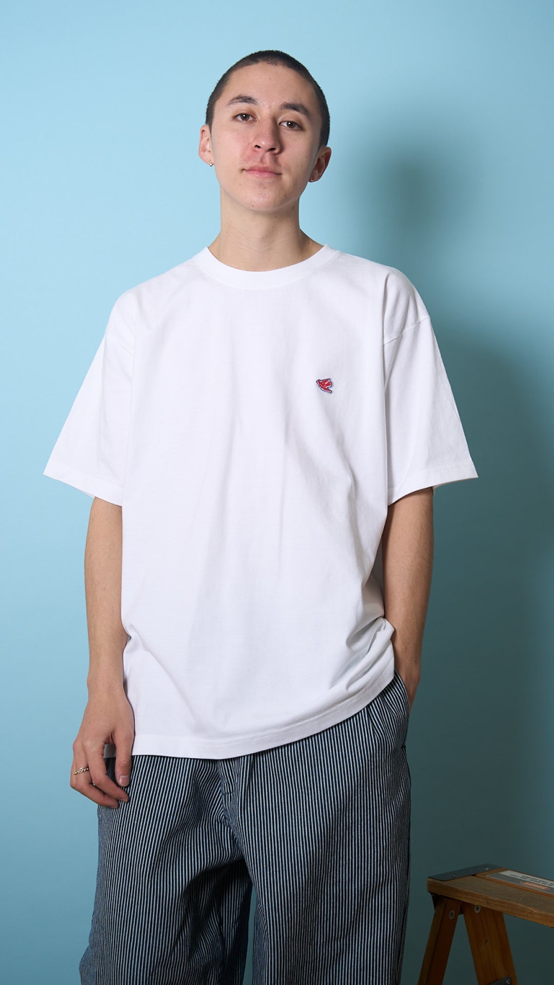 PIGEON GRAPHIC T-SHIRTS -VERTICAL ver.-